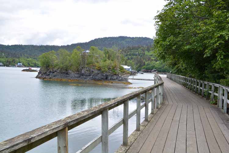 homes at halibut cove